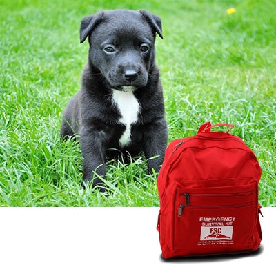 pet survival kits